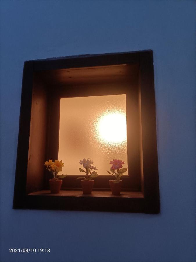 Florhouse Pacini Daire Katanya Dış mekan fotoğraf